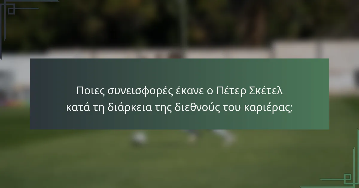 Ποιες συνεισφορές έκανε ο Πέτερ Σκέτελ κατά τη διάρκεια της διεθνούς του καριέρας;